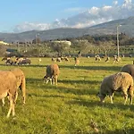 Σπίτι διακοπών Matias Nature - Mountain In Serra Da Estrela, Seia Carragozela