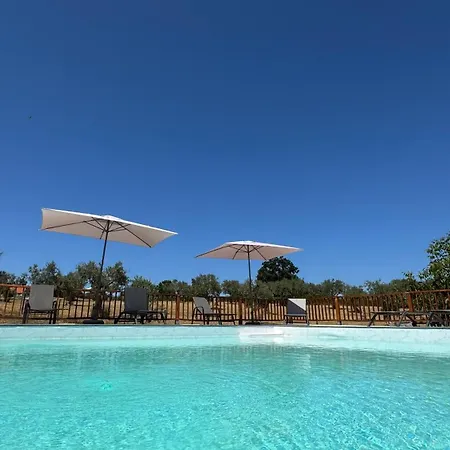 Matias Nature - Mountain In Serra Da Estrela, Seia *