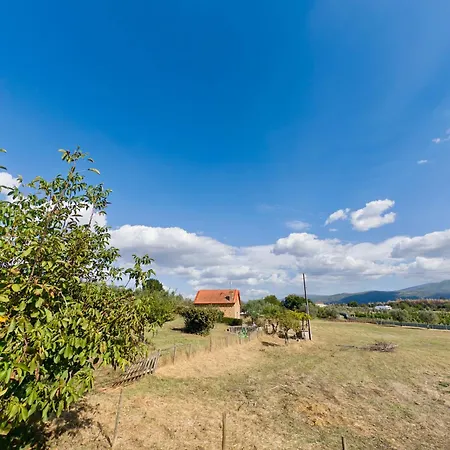 Matias Nature - Mountain In Serra Da Estrela, Seia