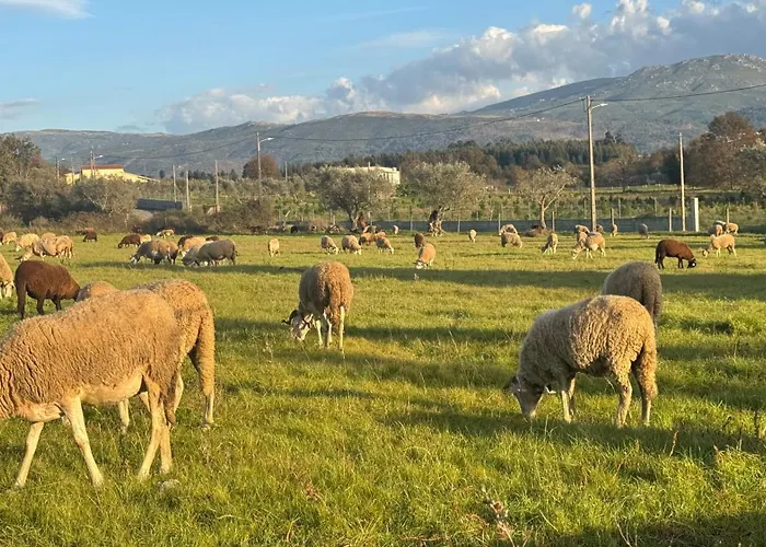 Дом отдыха Matias Nature - Mountain In Serra Da Estrela, Seia Carragozela