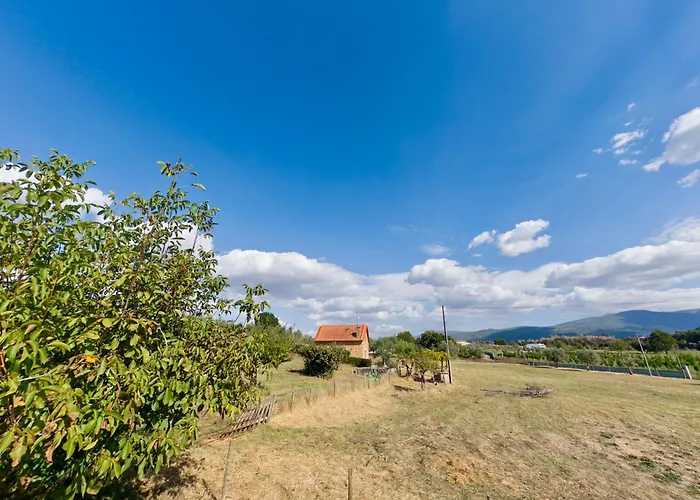 Matias Nature - Mountain In Serra Da Estrela, Seia
